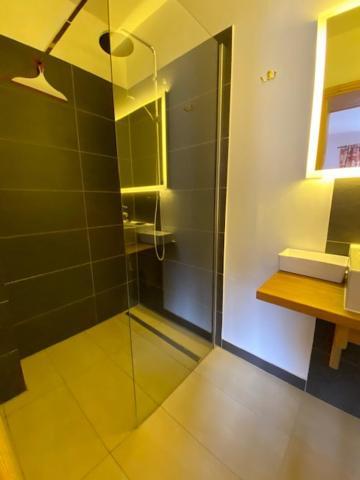 Haus Erika Apartment *